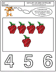 okul öncesi sayılar çalışma sayfaları